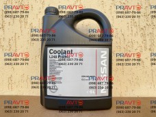 Антифриз Nissan Coolant l248 Premix -38 с, 5 литров
