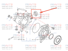 Сальник хвостовика раздатки (редуктора) для Nissan X-TRAIL T32 (2014-2020), Nissan Qashqai J11 (2013-2021)