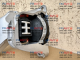 Подушка (опора) двигателя правая для Nissan Rogue T33 (2020-2027)
